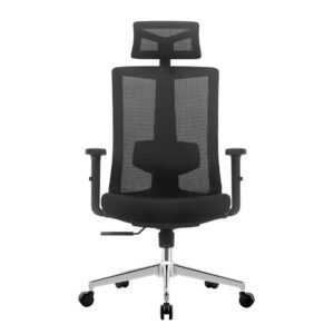 S16 v2 Ergonomic Office Gaming Chair (3 Years Warranty)