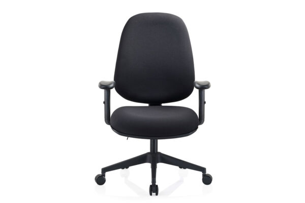 Deluxe-A09 Typist 1D Armrest Mid Back Office Chair (Black)