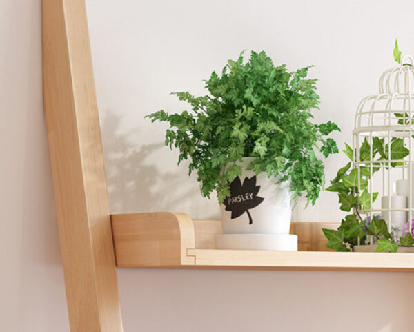 Polly Solid Thailand Rubberwood Bookshelf - Image 3