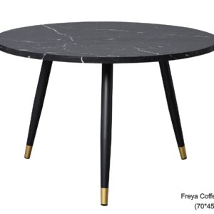 Freya Coffee/Center Table (70*45) (Black)